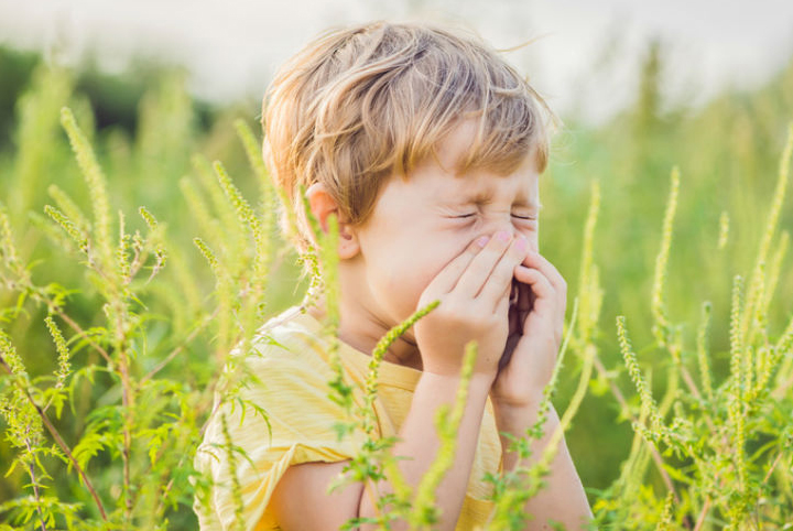 Allergie au pollen