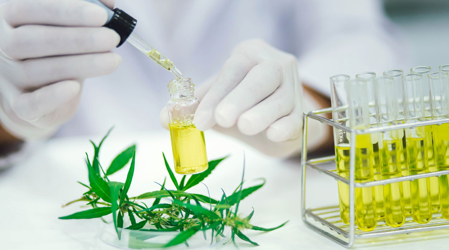 Bocal en verre contenant des fleurs de CBD avec étiquette indiquant le numéro de lot et le taux de THC à 0,18%, à côté d'un document d'analyse laboratoire français affichant les résultats de contrôle cannabinoïdes et un tampon officiel